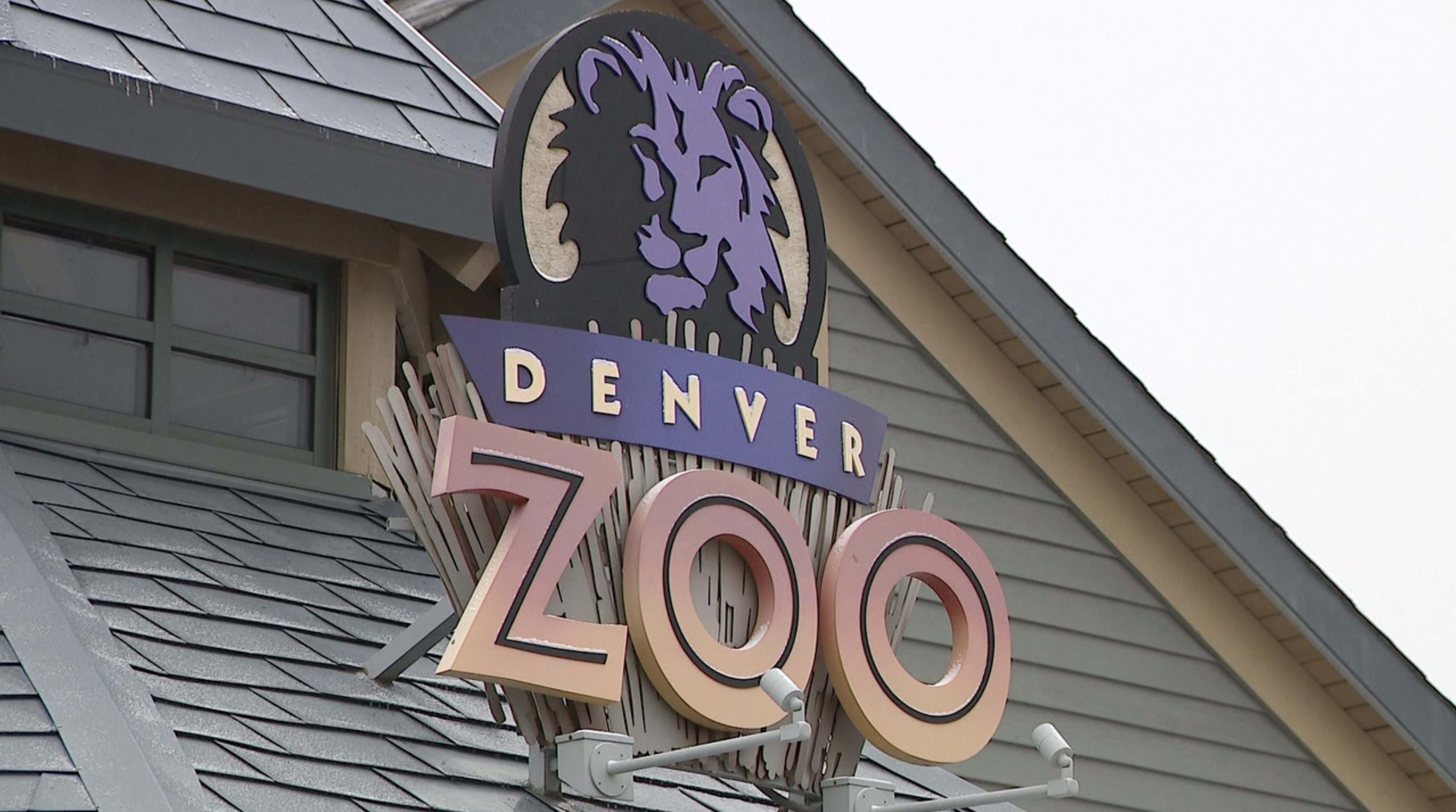 The Denver Zoo is fighting to keep their doors open and 3,000 animals fed amid the COVID-19 pandemic - Vimarsana News